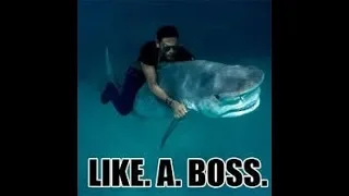 LIKE A BOSS COMPILATION😎 - 😎 AWESOME VIDEO