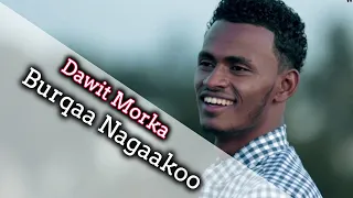 Dawit Morka - Burqaa Nagaakoo - Faarfanna Afaan Oromo - SOOLOO TUBE