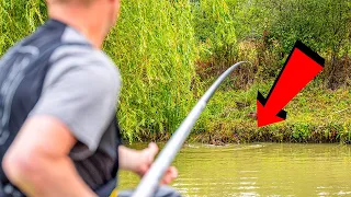 Catch more CARP in shallow water!