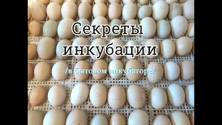 Режим инкубации утят и цыплят//Закладываем новую партию яиц//Секреты инкубации