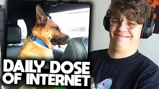 Papaplatte reagiert auf DAILY DOSE OF INTERNET! (mit Reeze) 😂 | Papaplatte Highlights