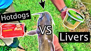 Best Catfish Bait Challenge!! (Hotdogs vs Chicken Livers!!)