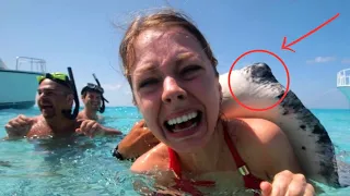 Conheça os 10 animais marinhos mais perigosos do mundo: fique alerta quando estiver na praia!