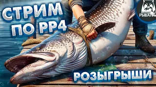 Русская рыбалка 4 🌎Охота на рыбу!!!🐠Кастинг Vexillar CST-F66MH,премы и голд наживка в рулетке!!🔥