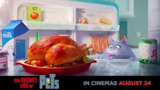 On AUGUST 24, discover #TheSecreLifeOfPets