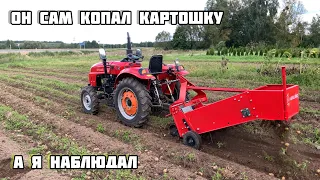 Трактор Shifeng sf 244c картофелекопалка kerland кт-1 он сам выкопал картошку