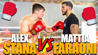 MATTIA FARAONI VS ALEX STANA 🥊