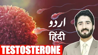 What Are Hormones In Hindi/Urdu || Boost Testosterone Naturally || Testosterone Level Kasie Badhayen