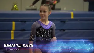 Level 5 1st All Around Floor Bars Vault Beam USAG