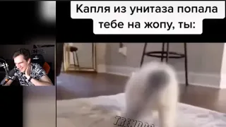 БРТИШКИН СМОТРИТ  - ПОПРОБУЙ НЕ ЗАСМЕЯТЬСЯ,ТЕСТ НА ПСИХИКУ