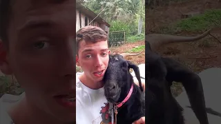 Harmonious Duet: Boy Sings Embraced with His Goat