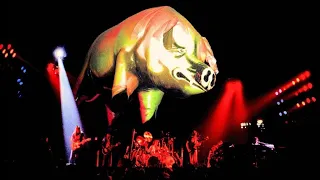 Pink Floyd   Live Animals Boston 1977 Pt1