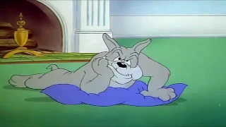 Tom And Jerry English Episodes   Quiet Please!    Cartoons For Kids Tv