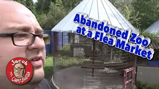 Abandoned Zoo at a Flea Market