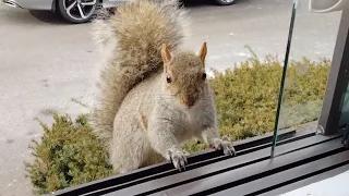 Quality time with a special squirrel friend