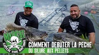 Comment débuter la pêche du silure au pellet