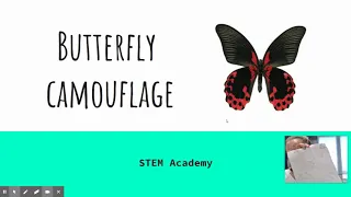 STEM Academy 7th Grade Butterfly Camouflage