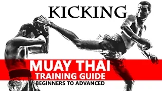 Muay Thai Training Guide. Beginners to Advanced: Kicking