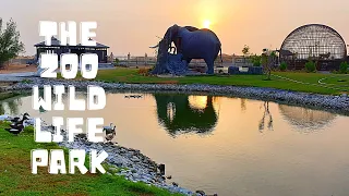 The Zoo Wild Life Park | Umm Al Quwain