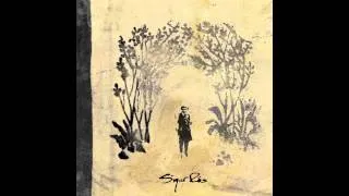 Sigur Rós - Hoppípolla