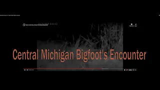 My Bigfoot Story Ep. 145 - Central Michigan Bigfoot's Encounter