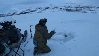 ЗИМНЯЯ МОРСКАЯ РЫБАЛКА / УДОЧКИ ГНУЛО / ЛЕСКА ТРЕЩАЛА / WINTER SEA FISHING