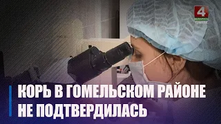 На Гомельщине под подозрением на корь был лишь 1 случай, который не подтвердился