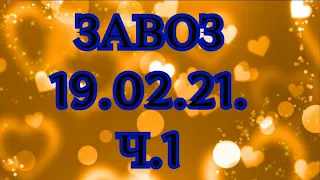 🌸Продажа орхидей. ( Завоз 19.02. 21 г.) 1 ч. Отправка только по Украине. ЗАМЕЧТАТЕЛЬНЫЕ КРАСОТКИ👍