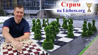 Ежедневная Blitz Арена 5+0 3+0 1+0