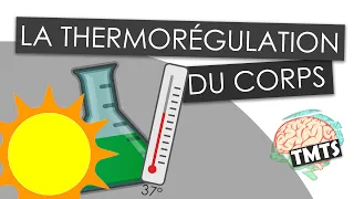 Épisode 1 | LA THERMORÉGULATION - Toi-même tu sais