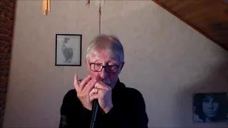 La Chanson de Lara ! a L'harmonica chromatique