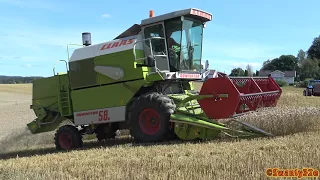 4K| Claas Dominator 58S Combine Harvesting Wheat