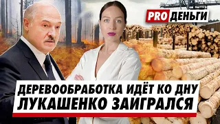 Лукашенко заигрался в "экономику". Деревообработке конец. Что ожидает Беларусь?