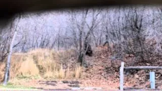 Provo Canyon Big Foot Sighting off trail - C.M. 12-02-12