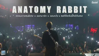 ANATOMY RABBIT - ธรรมดาแสนพิเศษ I  แอบหวัง I ขอให้โลกใบนี้ใจดีกับเธอ  [Live at เอกมัย อุดรธานี]