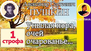 Унылая пора, очей очарованье... Пушкин А. С. (1 строфа из стихотворения Осень)