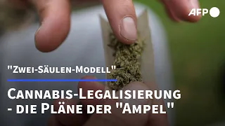 Cannabis-Legalisierung: Lauterbach präsentiert "Zwei-Säulen-Modell" | AFP