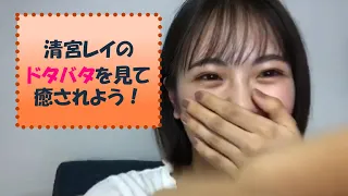 【乃木坂46】レイちゃんがドタバタしてるだけの動画（笑）