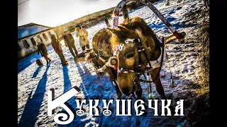 КУКУШЕЧКА | КОЛЕНКОРЪ