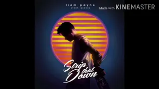 Strip That Down - Liam Payne ft Quavo ( Audio only)