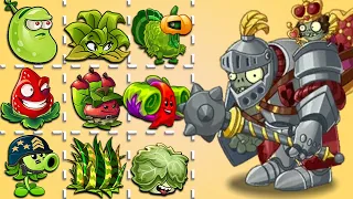 PvZ 2 9.7.1 - Rhubarbarian & Team Plant Max Level Vs Guard Gargantuar Zombie Level 10