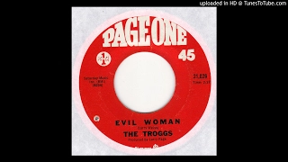 Troggs - Evil Woman