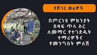 Sheger Werewoch - በጦርነቱ ምክንያት በዛፍ ጥላ ስር ለመማር የተገደዱት ተማሪዎችና የመንግስት ምለሽ