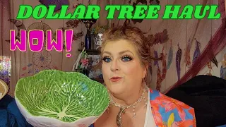 DOLLAR TREE HAUL | Amazing New Finds | April 30, 2024