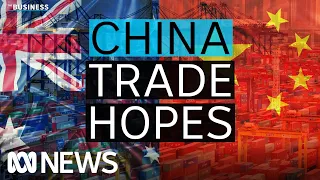 Australia gearing up for a fight if China doesn't lift trade restrictions | The Business | ABC News