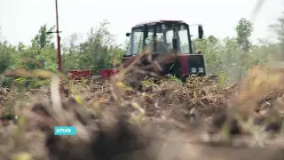 Принят закон о землях сельхозназначения