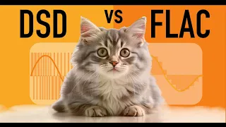 DSD vs FLAC [Смотрите простое объяснение аудио форматов]