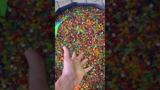 I FILLED A POOL WITH 1 MILLION ORBEEZ! #shorts