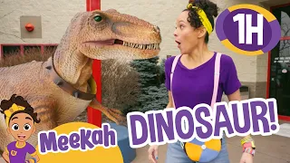 Meekah Meets Stanley the Dinosaur 🚀 Learn About Dinosaurs with Meekah! | Moonbug Kids After School