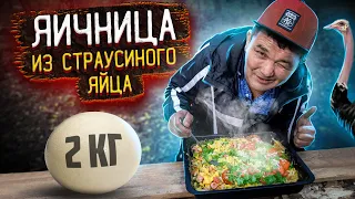 НЕВЕРОЯТНАЯ ЯИЧНИЦА из СТРАУСИНОГО ЯЙЦА от КИШКОБЛУДА